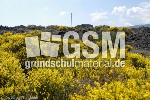 Sizilien (472 von 565).jpg